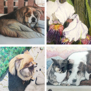 Colored Pencil Drawing Classes
