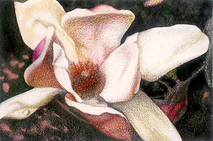“Pink Magnolia” – Watercolor Painting Class – Tuesday, August 13, 2024, 6:00pm to 9:00pm